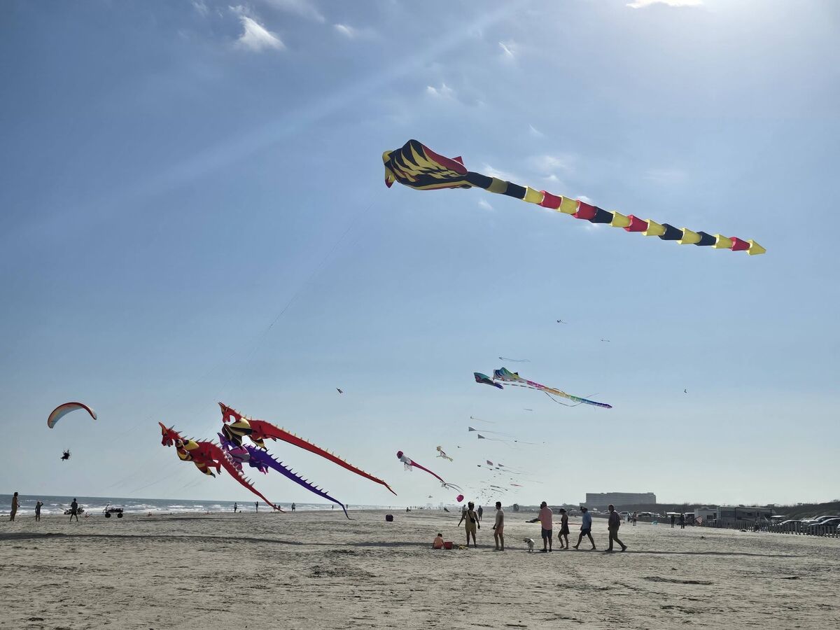 Giant show kites, dragons and a long striped windsock kite flying over a wide sandy beach at the Carolina Kite Festival, with people watching from the sand